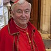 Cardinal Vincent 1