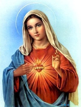 immaculate heart mary 2